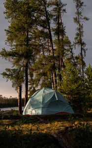 Preview wallpaper trees, log, nature, tent, sky, light