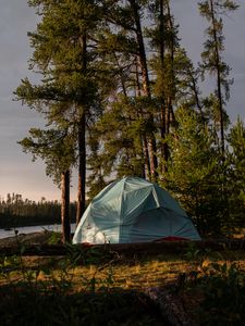 Preview wallpaper trees, log, nature, tent, sky, light