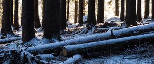 Preview wallpaper trees, logs, winter, snow