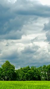 Preview wallpaper trees, meadow, field, clouds, sky, greens, summer