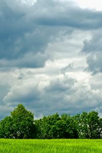 Preview wallpaper trees, meadow, field, clouds, sky, greens, summer