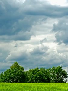 Preview wallpaper trees, meadow, field, clouds, sky, greens, summer