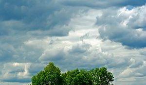 Preview wallpaper trees, meadow, field, clouds, sky, greens, summer