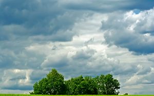 Preview wallpaper trees, meadow, field, clouds, sky, greens, summer