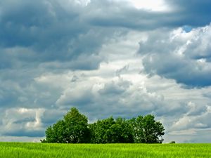 Preview wallpaper trees, meadow, field, clouds, sky, greens, summer