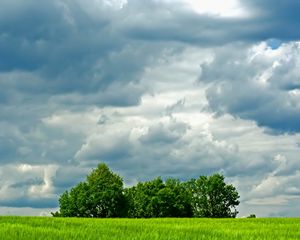 Preview wallpaper trees, meadow, field, clouds, sky, greens, summer