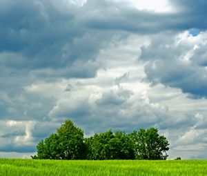 Preview wallpaper trees, meadow, field, clouds, sky, greens, summer