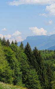 Preview wallpaper trees, meadow, flowers, grass, landscape