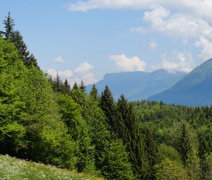 Preview wallpaper trees, meadow, flowers, grass, landscape