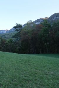 Preview wallpaper trees, meadow, grass, mountains, nature, landscape