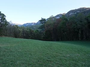 Preview wallpaper trees, meadow, grass, mountains, nature, landscape