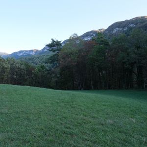 Preview wallpaper trees, meadow, grass, mountains, nature, landscape