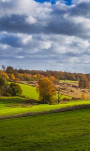 Preview wallpaper trees, meadow, grass, landscape, nature