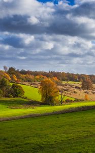 Preview wallpaper trees, meadow, grass, landscape, nature