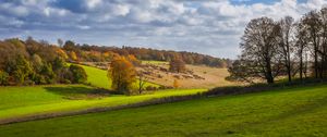 Preview wallpaper trees, meadow, grass, landscape, nature