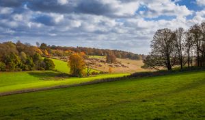 Preview wallpaper trees, meadow, grass, landscape, nature