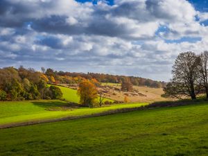 Preview wallpaper trees, meadow, grass, landscape, nature