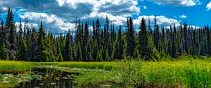 Preview wallpaper trees, meadow, grass, pond, sky, landscape