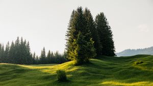 Preview wallpaper trees, meadow, grass, nature