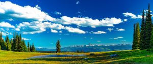 Preview wallpaper trees, meadow, water, grass