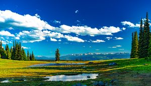 Preview wallpaper trees, meadow, water, grass