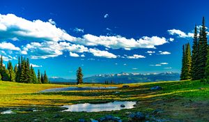 Preview wallpaper trees, meadow, water, grass