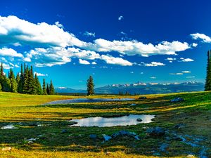 Preview wallpaper trees, meadow, water, grass