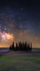 Preview wallpaper trees, milky way, meadow, flowers, landscape, nature