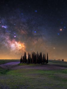 Preview wallpaper trees, milky way, meadow, flowers, landscape, nature