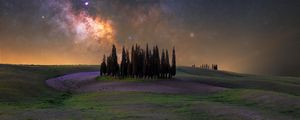 Preview wallpaper trees, milky way, meadow, flowers, landscape, nature