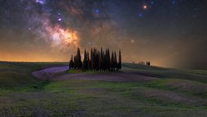 Preview wallpaper trees, milky way, meadow, flowers, landscape, nature