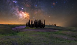 Preview wallpaper trees, milky way, meadow, flowers, landscape, nature