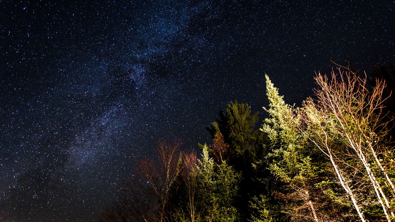 Wallpaper trees, milky way, night