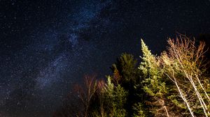 Preview wallpaper trees, milky way, night