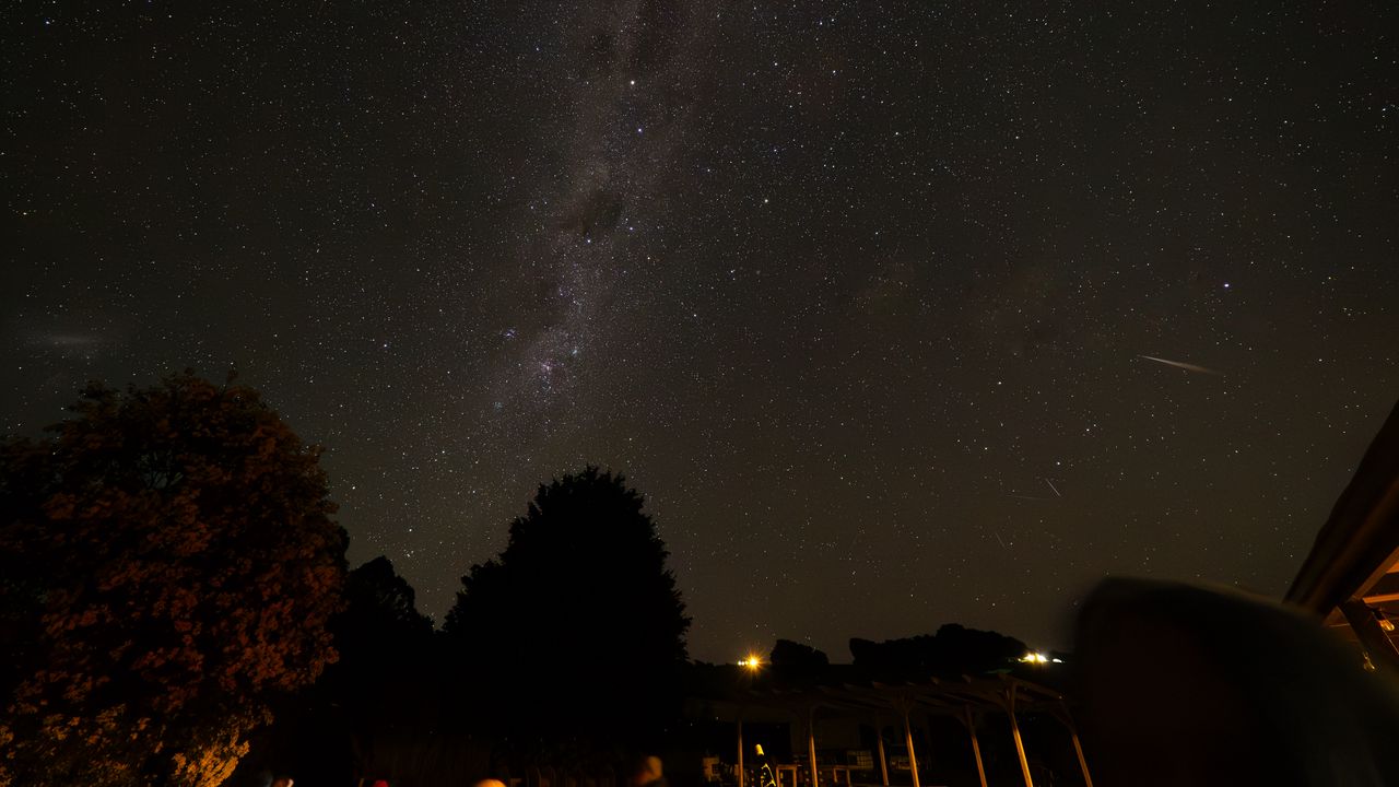 Wallpaper trees, milky way, starry sky, night