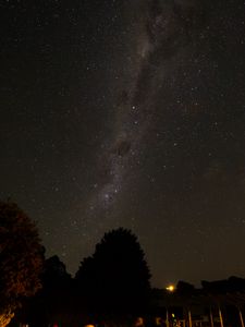 Preview wallpaper trees, milky way, starry sky, night