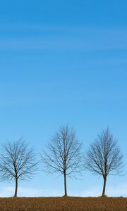 Preview wallpaper trees, minimalism, sky, horizon
