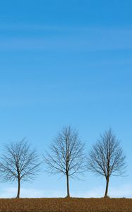 Preview wallpaper trees, minimalism, sky, horizon