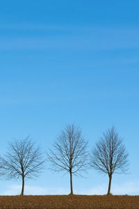 Preview wallpaper trees, minimalism, sky, horizon