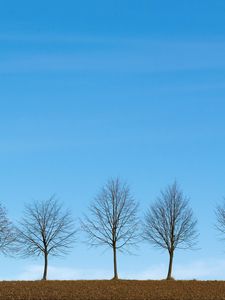 Preview wallpaper trees, minimalism, sky, horizon