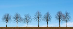 Preview wallpaper trees, minimalism, sky, horizon