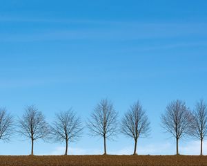Preview wallpaper trees, minimalism, sky, horizon