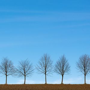 Preview wallpaper trees, minimalism, sky, horizon