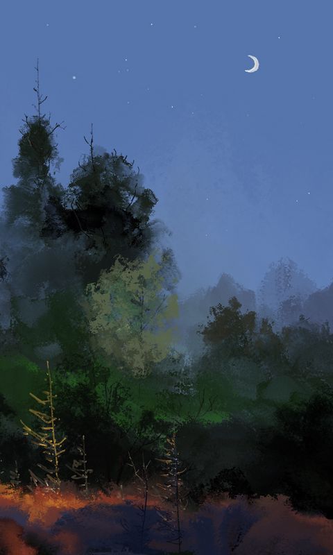 480x800 Wallpaper trees, moon, art, night