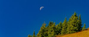 Preview wallpaper trees, moon, slope, landscape, nature