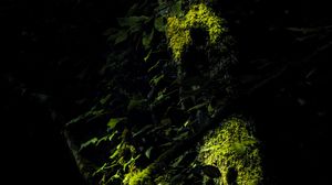 Preview wallpaper trees, moss, branches, leaves, dark