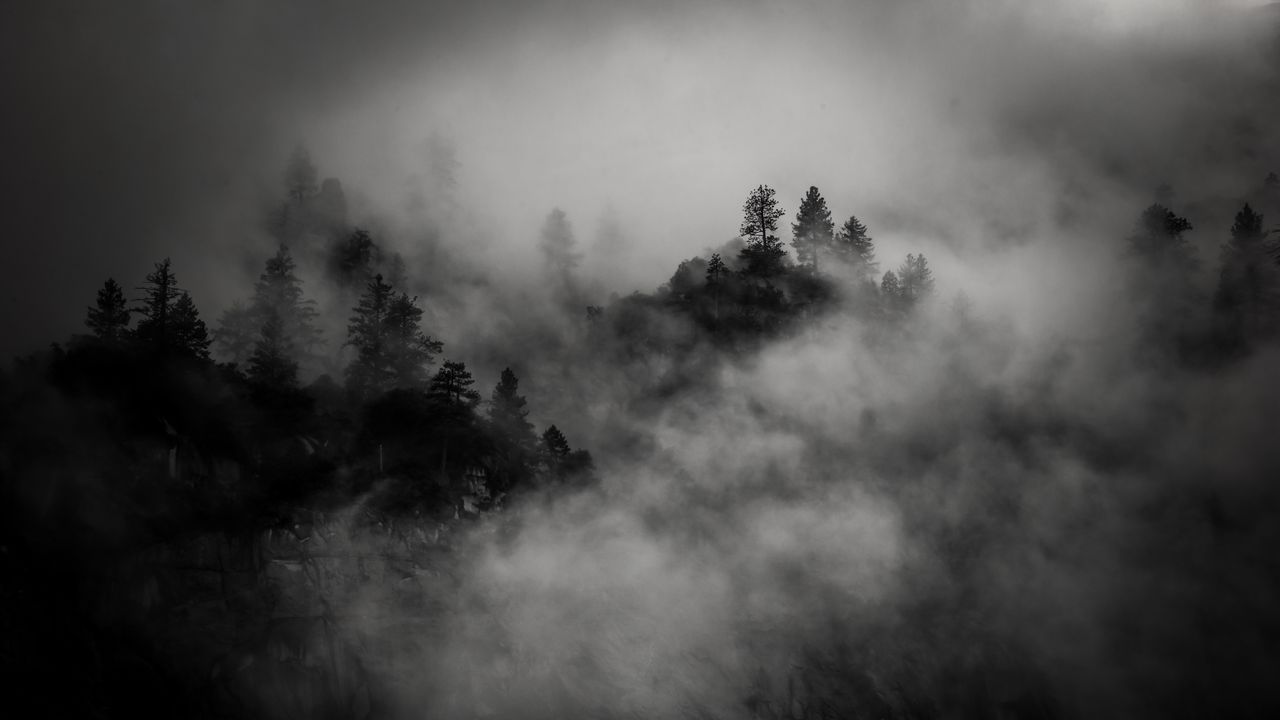 Wallpaper trees, mountain, fog, dark