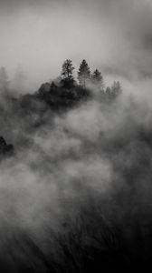 Preview wallpaper trees, mountain, fog, dark