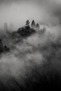 Preview wallpaper trees, mountain, fog, dark