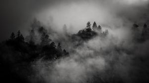 Preview wallpaper trees, mountain, fog, dark